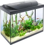 Tetra Starter Line 80 L Aquarium Komplett-Set - inkl. Tag- & Nachtlicht