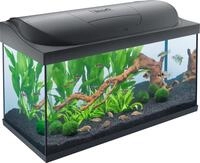 Tetra Starter Line 105 L Aquarium Komplett-Set - inkl. Tag- & Nachtlicht