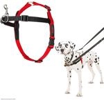 HALTI Front Control Anti-Zug Geschirr, Gr&ouml;&szlig;e Mittel - Verhindert, dass Ihr Hund an