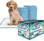Simple Solution Absorbierende Premium - Training Pads f&uuml;r Hunde - Packung mit 100