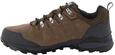 Jack Wolfskin Herren Refugio Texapore Low M Walking-Schuhe, Brown / Phantom, 42.5 EU