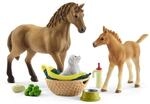 SCHLEICH 42432 Horse Club Sarahs Tierbaby-Pflege, f&uuml;r Kinder ab 5-12 Jahren, Horse