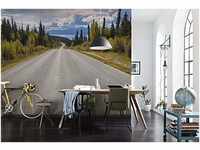 Komar Fototapete ATLIN ROAD | 368x254 cm | Tapete, Wand Dekoration, Kanada,...