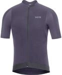 GORE WEAR Herren Fahrrad-Kurzarmtrikot Race, S, Graublau