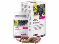 Raab Vitalfood OPC Extrakt Kapseln, 90 Stück, vegan & glutenfrei, Oligomere