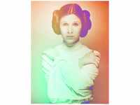 Komar Wandbild | Star Wars Classic Icons Color Leia | Kinderzimmer,...