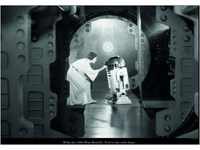 Komar Wandbild | Star Wars Classic Leia R2D2 Quote | Kinderzimmer, Jugendzimmer,