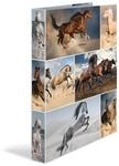 HERMA Ringbuch A4 Pferde, schmal, 2 Ringe, 35 mm breit, Kinder Ringordner mit Tier