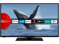 JVC LT-42VF5155 42 Zoll Fernseher / Smart TV (Full HD, HDR, Triple-Tuner,...