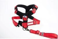 Hundesicherheitsgurte Allsafe ComfortGr. XL