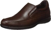Fluchos Luca 8499 Kastanienvogel