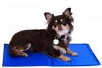 lionto K&uuml;hlmatte f&uuml;r Hunde & Katzen, selbstk&uuml;hlende Haustiermatte sorgt f&uuml;r
