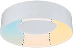 Paulmann WallCeiling HomeSpa Casca IP44 WhiteSw De