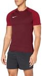 Nike Herren Trophy III Jersey Shortsleeve881483-677 Trikot, rot (team red/Gym