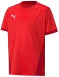 Puma Jungen teamGOAL 23 Jersey jr T-Shirt, Red-Chili Pepper, 164