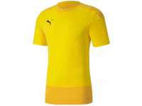 PUMA Herren Teamgoal 23 træningstrøje T shirt, Cyber Yellow-spectra Yellow, L...