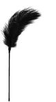 Teazers schwarzer Feder-Tickler