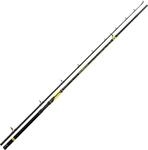 Black Cat Premium Welsrute Perfect Passion XH-S 2,4m Angelrute vielseitig Einsetzbar