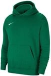 Nike Unisex Y Nk Flc Park20 Po Hoodie Kapuzenpullover, Pine Green/White,...