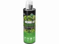 MICROBE-LIFT® - Plants Green | Pflanzen Dünger für Aquarium Pflanzen | Mit