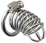 Erotic Fashion ra7996 Penis Keuschheit, Silber Metall Durchmesser 45 mm, 1er-Pack (1