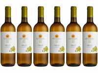 Settesoli Grillo BIO vegan – Trockener fruchtiger Weißwein aus Sizilien (6 x