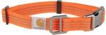 Carhartt Unisex's Dog Collar, Hunter Orange, L