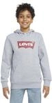 Levi's Kids batwing screenprint hoodie Jungen Grey Heather 14 Jahre