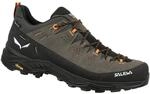 Salewa MS ALP TRAINER 2 MID GTX | Wasserfest