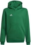 adidas Unisex Kinder Entrada 22 Sweat Hoodie, team green/white, 116