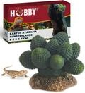 HOBBY Terraristik Kaktus Atacama I 6 x 5 x 7 cm I Dekorative Terrarienpflanze I