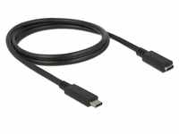 DeLock USB3.1 Kabel Gen1 USB-C Verlängerung - Kabel - Digital/Daten, 85533