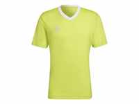 Adidas, Entrada22, Fussball T-Shirt, Team Semi Sol Gelb, M, Mann