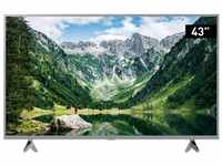 Panasonic TX-43LSW504 108 cm LED Fernseher (43 Zoll, HD Bright Panel, Media Player,