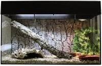 Lucky Reptile Starter Kit Schlange, Farbe:Schwarz, Terrarienma&szlig;e (B/T/H):80 x 40 x