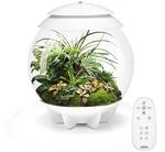 biOrb 71748 AIR 30 wei&szlig; - automatisiertes Terrarium mit LED-Beleuchtung,