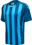 hummel hmlCORE XK Striped Trikot F9124 blau, M Herren