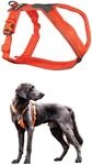 Non-stop dogwear Line Harness 5.0, Gepolstertes Hundegeschirr f&uuml;r kleine, mittlere