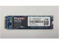 Mega Fastro MS250100TTS - MS 250-1 TB Terrabyte M.2 NVMe interne SSD