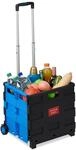 Relaxdays Einkaufstrolley klappbar, Teleskop-Griff, 2 Gummi Rollen, bis 35 kg,