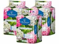 Floragard Endless Summer Hortensienerde rosa/weiß 3x20 L • zum Pflanzen und