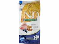 Farmina Pet Food N&D Ancestral Grain Canine 12 kg Adult Lamb