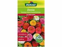 Dehner Blumen-Saatgut, Zinnie "Niedrige Liliput Prachtmischung", 5er pack (5 x...