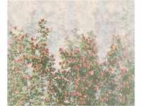 Komar Vlies Fototapete - Wall Roses - Größe: 300 x 250 cm (Breite x Höhe) -