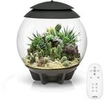 biOrb 71749 AIR 30, grau - automatisches Terrarium zur bequemen Pflanzenpflege,