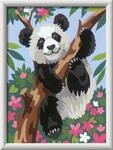 Ravensburger CreArt S&uuml;&szlig;er Pandab&auml;r - Malen nach Zahlen ab 9 Jahre | Malset...