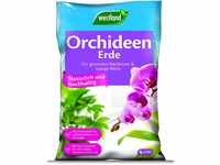 Westland Orchideen Erde, 4 l – Blumenerde für gesundes Wachstum, Pinienrinde...