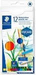 STAEDTLER 14610C C12 Buntstift (wasservermalbarer, klassisches Sechskantformat,...