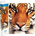 DIAMOND DOTZ DD8.001 - Original 5D Diamond Painting Set Bengal Tiger Magie,