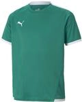 PUMA Unisex Kinder Teamliga Jersey Jr Shirt, Pepper Green-puma White, 176 EU